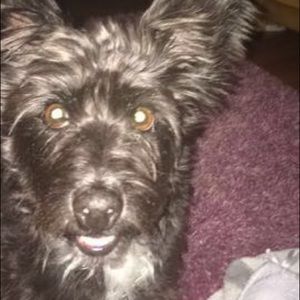 Meet your Posher, Adela